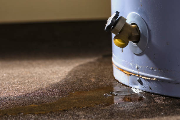 Best Professional water damage repair  in Olivet, NJ