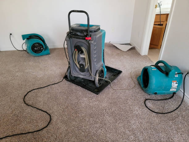 Best Carpet water damage restoration  in Olivet, NJ