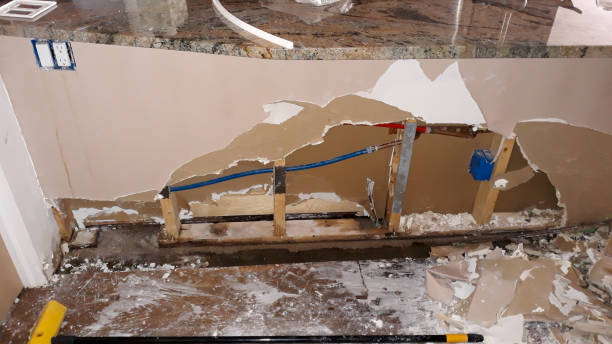 Best Water damage contractors near me  in Olivet, NJ
