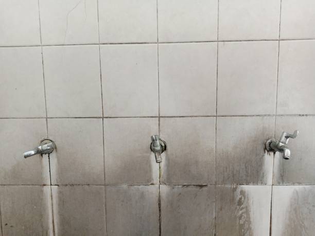 Best Emergency water extraction  in Olivet, NJ