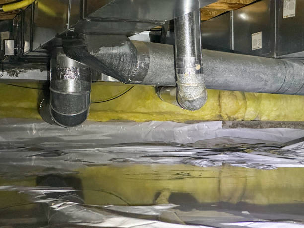 Best Water damage contractors near me  in Olivet, NJ