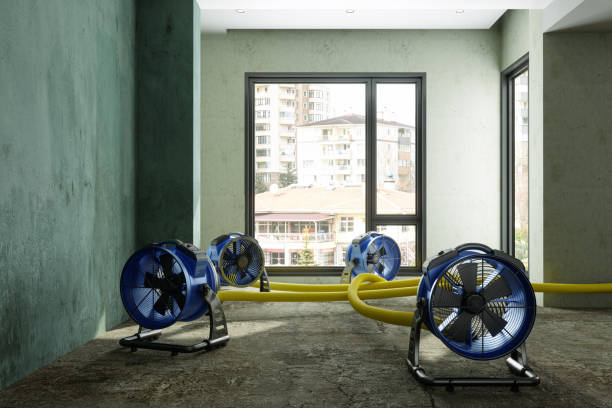 Sewage cleanup and water damage restoration in NJ