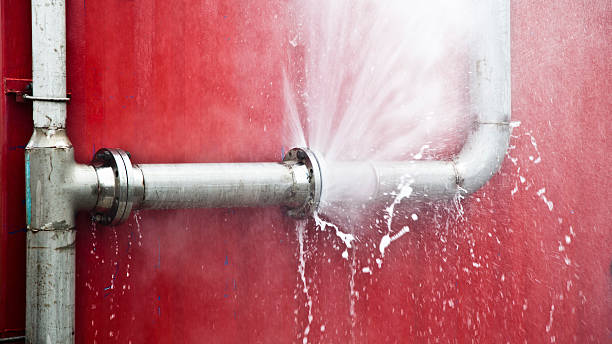 Best Flood damage cleanup  in Olivet, NJ