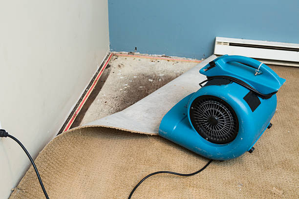 Best Ceiling water damage repair  in Olivet, NJ